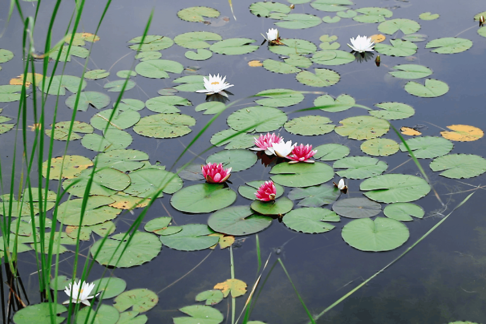 uT, ezAeT, src uT, ezAeT, src