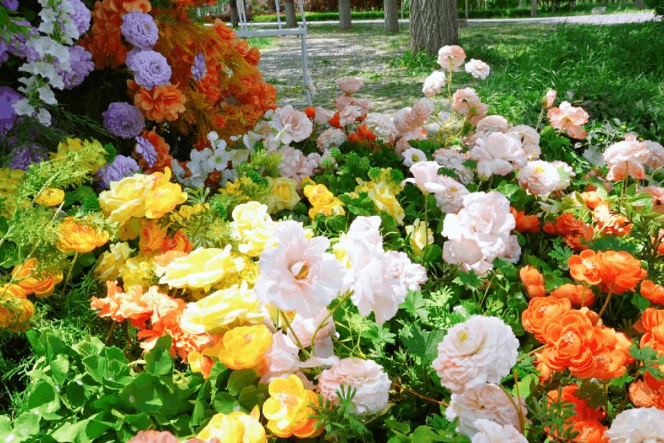 八拜湖湿地 八拜湖湿地