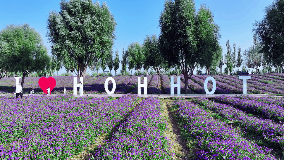 hRsiJ, align hRsiJ, align