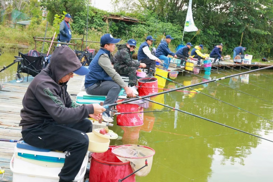 inews, 合鱼重量赛, HZ inews, 合鱼重量赛, HZ