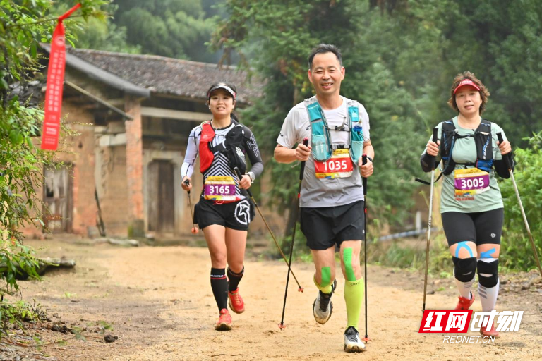 HZlqr, YtDVo HZlqr, YtDVo